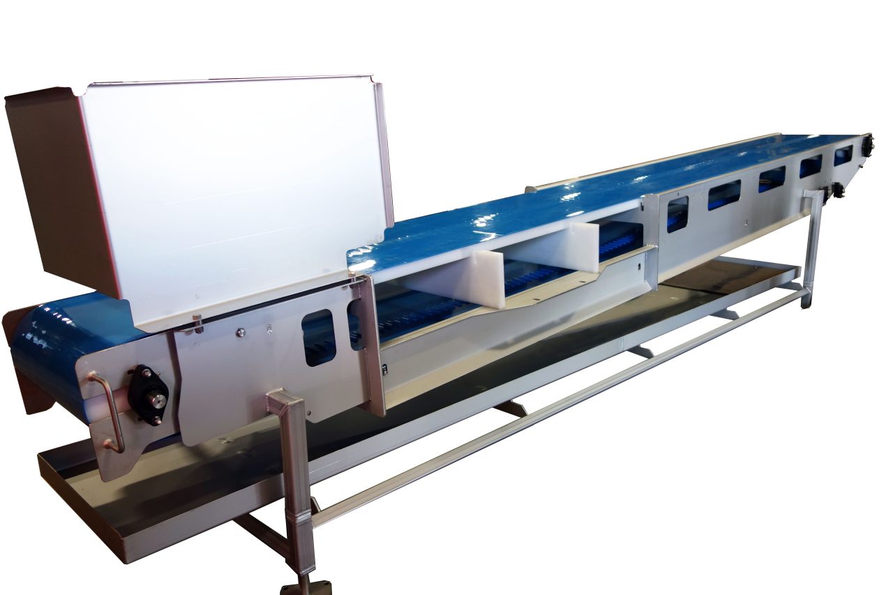 Fruits BlueBeltConveyor